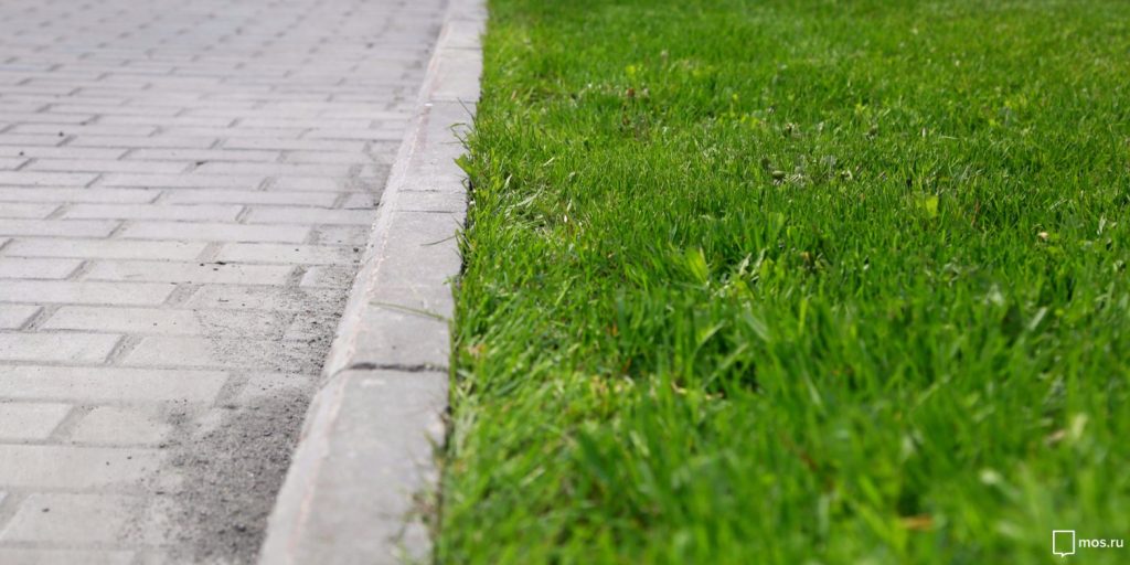 На Кондратюка привели в порядок бордюр 