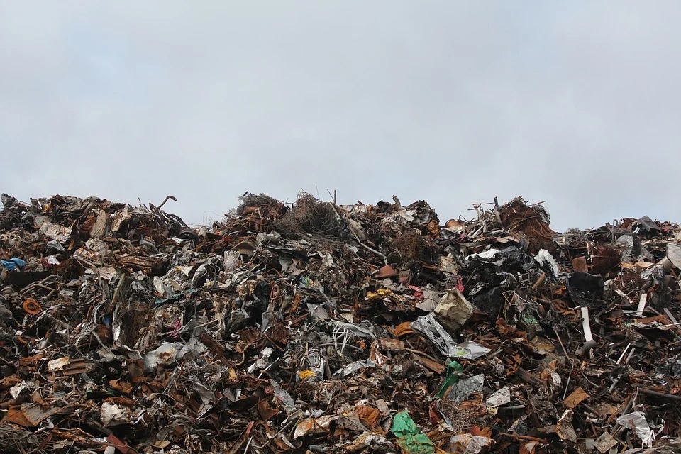 Жители Останкина смогут оформить льготы по вывозу мусора в центре госуслуг «Мои документы» 