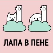 Груминг-студия Лапа В Пене фото 14 на сайте Ostankino.su
