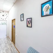 Груминг-студия Лапа В Пене фото 12 на сайте Ostankino.su