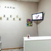 Груминг-студия Лапа В Пене фото 8 на сайте Ostankino.su