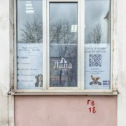 Груминг-студия Лапа В Пене фото 4 на сайте Ostankino.su