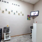 Груминг-студия Лапа В Пене фото 13 на сайте Ostankino.su