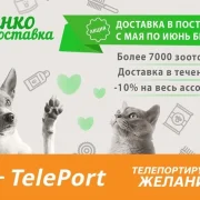 Автоматизированный пункт выдачи Teleport на улице Академика Королёва фото 4 на сайте Ostankino.su
