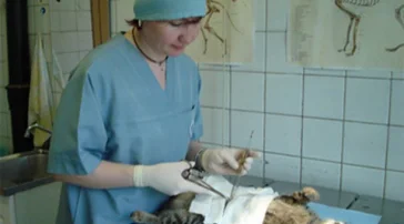 Лаборатория ветеринарно-санитарной экспертизы Московское объединение ветеринарии фото 2 на сайте Ostankino.su