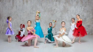 Школа танцев Илзе Лиепа фото 2 на сайте Ostankino.su