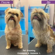 Груминг-салон Pet grooming фото 4 на сайте Ostankino.su
