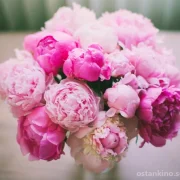 Магазин необычных цветов Синие Розы фото 5 на сайте Ostankino.su