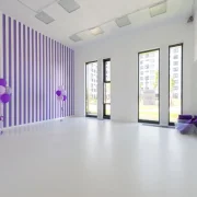 Академия хореографии СИНЕРГИЯ на Олонецкой улице фото 5 на сайте Ostankino.su